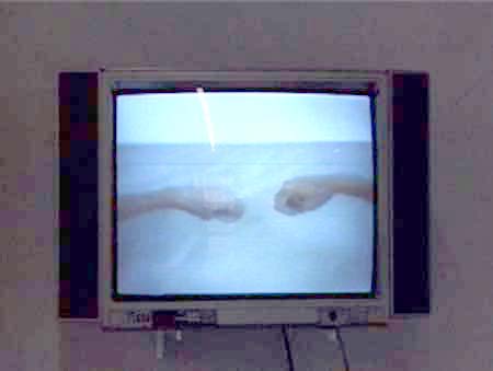 ancadaucicovavideo