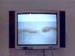 ancadaucicovavideo