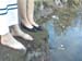 see9